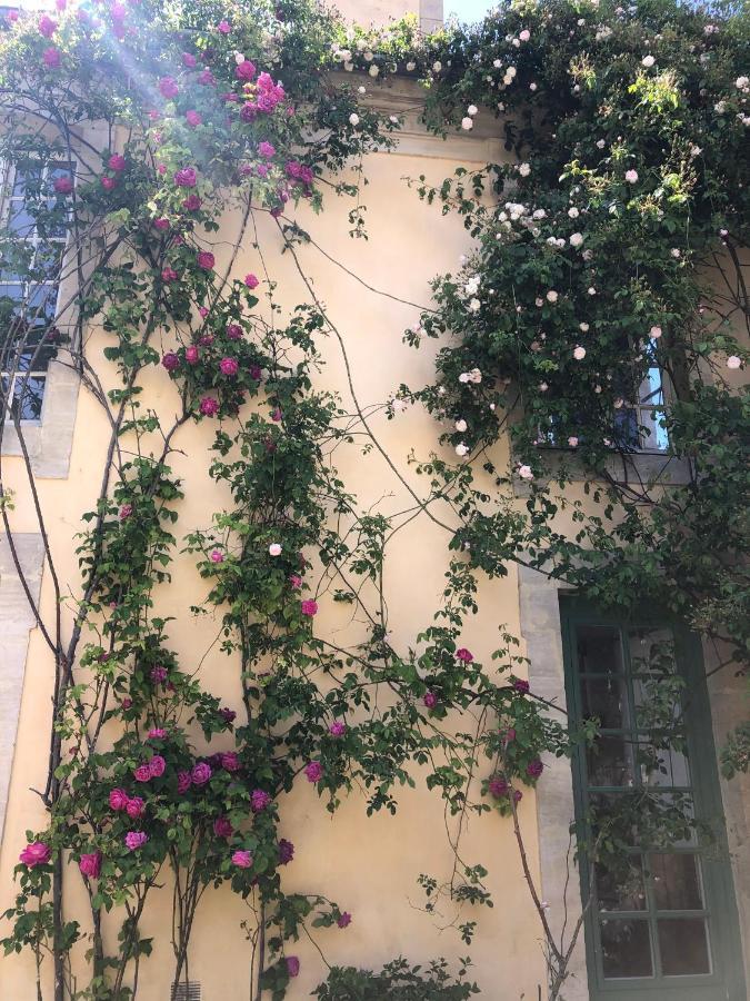 Maison D'Hotes De Charme بايو المظهر الخارجي الصورة